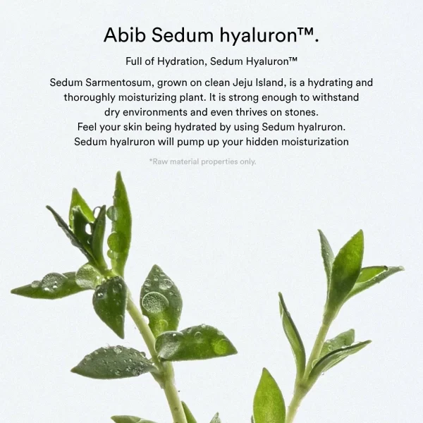 abib-sedum-hyaluron-pad-hydrating-touch-75pads-pic-4