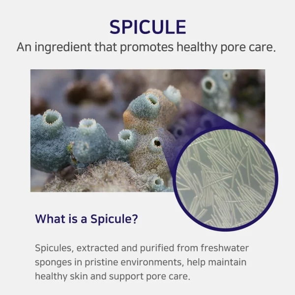 aplb-spicule-collagen-shot-300-cream-55ml-pic-3
