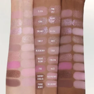 dasique-shadow-palette-berry-smoothie-edition-pic-3