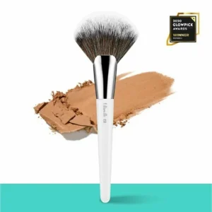 fillimilli-big-fan-brush-851-pic-2
