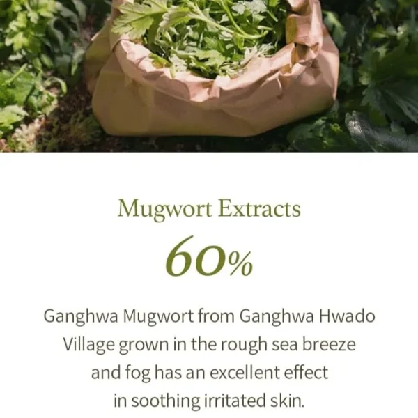 im-from-mugwort-gel-cleanser-150ml-pic-4