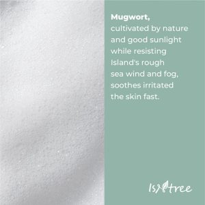 isntree-mugwort-calming-powder-wash-15g-pic-5