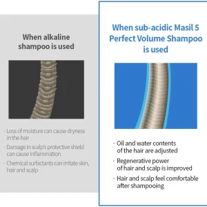 masil-5-probiotics-perfect-volume-shampoo-stick-pouch-pic-3
