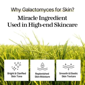 mixsoon-galactomyces-toner-pad-60pads-pic-6