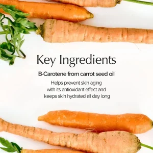 skinfood-carrot-carotene-calming-water-pad-60pads-pic-6