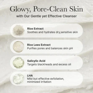 arencia-rice-lha-pore-control-rice-cake-cleanser-150g-pic-4