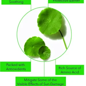 barulab-the-clean-vegan-cica-mask-23g-pic-2