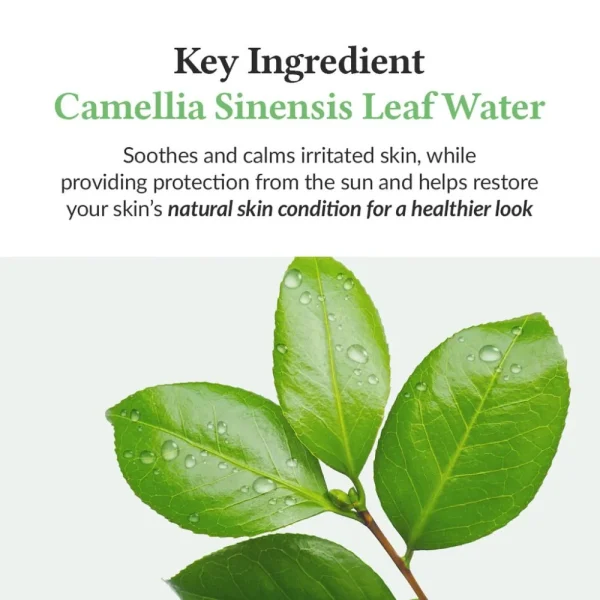 dr-althea-green-tea-fresh-sunscreen-spf50-pa-45ml-pic-2