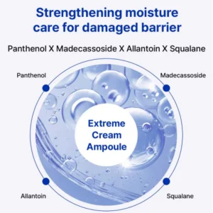 real-barrier-extreme-cream-ampoule-50ml-pic-4