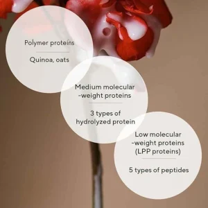aromatica-quinoa-protein-hair-ampoule-100ml-pic-2