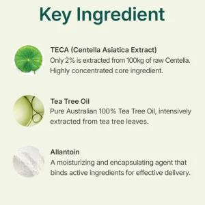 centellian24-madeca-powder-tea-tree-ac-6g-pic-3