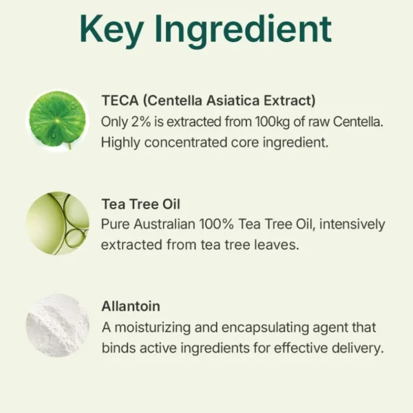 centellian24-madeca-powder-tea-tree-ac-6g-pic-3