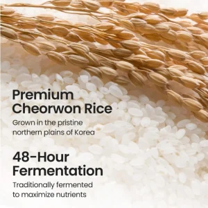 Skinfood - Rice Mask Wash Off 100g — zdjęcie 2